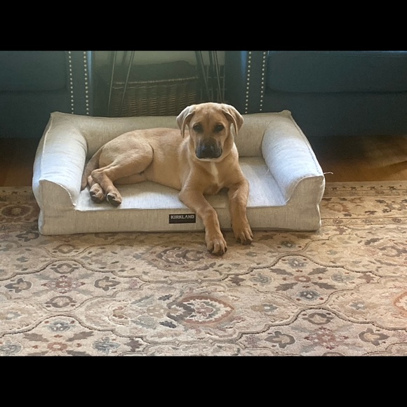 Meet your Posher, Meghan - Picture 1 of 1